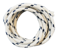 Art. 300/W